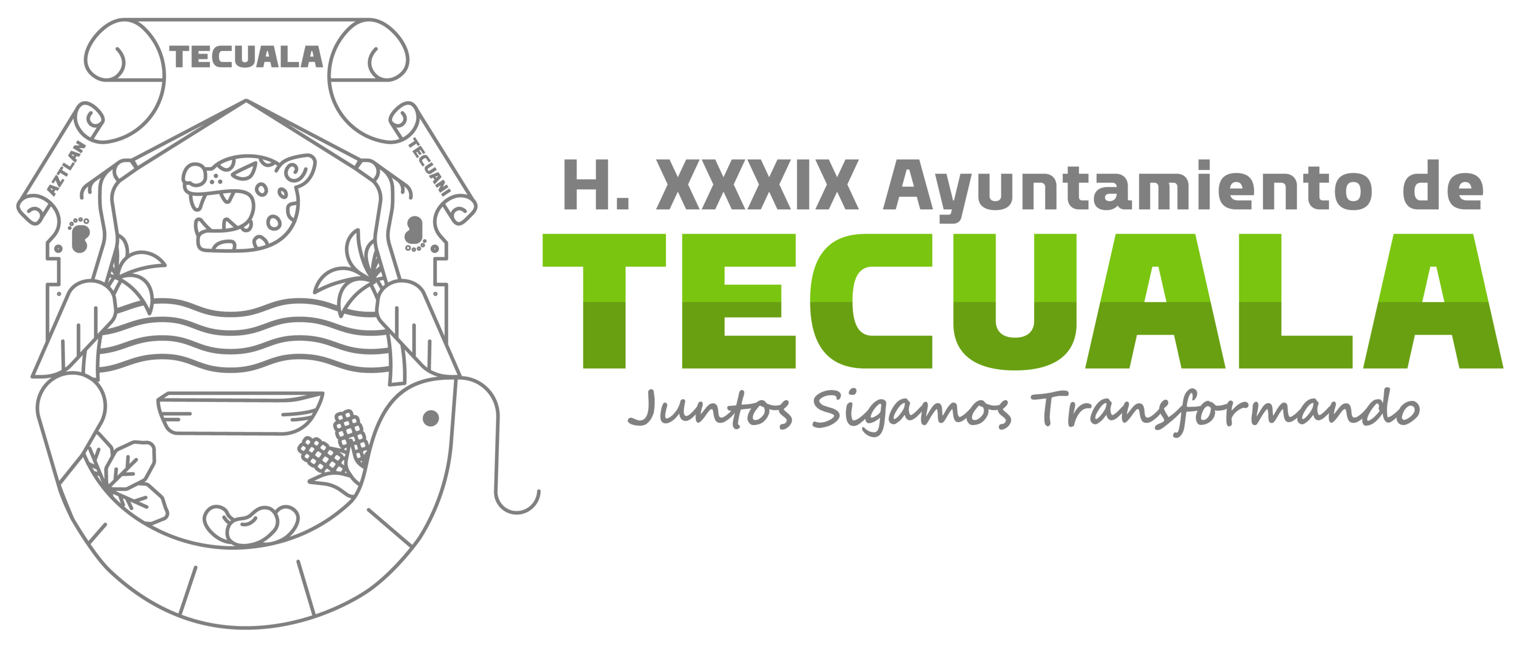 tecuala_banner